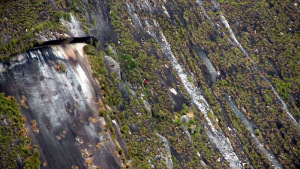 Climbing Climbing